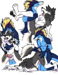 anal anthro blue canid canine canis dragon favonius hi_res holidays male male/male mammal raining teryx teryx_commodore valentine's_day wolf zephyxus