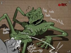 Ozzie (Endacopia) Rule 34 Image