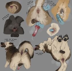 2021 absurd_res anal anal_fingering anal_sex anatomically_correct anatomically_correct_anus anatomically_correct_balls anatomically_correct_genitalia anatomically_correct_penis animal_genitalia animal_penis anthro anus ass balls bodily_fluids canid canine canine_penis canis cum cum_in_ass cum_inside cum_leaking dialogue domestic_dog english_text feral feral_penetrated fingering fur gaping gaping_anus genital_fluids genitals german_shepherd group herding_dog hi_res human human_on_feral human_penetrating human_penetrating_feral humanoid_genitalia humanoid_penis interspecies knot looking_at_viewer looking_back lying male mammal multicolored_body multicolored_fur musk on_back pastoral_dog paws penetration penis presenting presenting_anus presenting_hindquarters reyes_(sepulte) sepulte sheath solo text wolf zoophilia