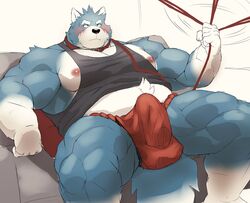 2021 anthro asian_clothing balls_outline black_nose blue_body blue_fur blush bulge canid canine canis clothed clothing domestic_dog east_asian_clothing erection erection_under_clothing fundoshi fur furniture genital_outline hi_res japanese_clothing kemono male mammal mti777 musclegut penis_outline sitting sofa solo underwear white_body white_fur