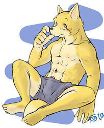 anthro bodily_fluids bottomwear canid canine clothed clothing erection fox fur genitals glans kemono koda-kota male mammal moobs muscular muscular_anthro muscular_male nipples pants penis shorts sitting solo sweat topless yellow_body yellow_fur