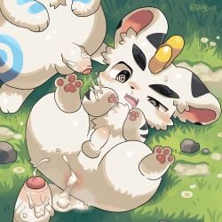 Bixie (Fabulous Beasts) Rule 34 Image