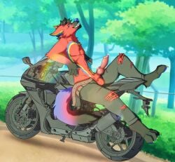 absurd_res anatomically_correct anatomically_correct_genitalia animal_genitalia animal_penis anthro balls belt blue_eyes bodily_fluids canid canine canine_genitalia canine_penis canis claws clothing detailed_background erection feet fingers fox fur genital_fluids genitals hi_res hybrid knot looking_at_viewer male male/male mammal mistyo motorcycle nude open_belt outside park penile penis plant precum presenting public sheeth smile solo tail teeth toes torn_clothing tree vehicle winterfolf wolf