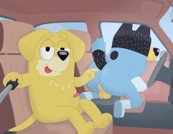 anthro ass backsack balls bandit_heeler bluey_(series) car courtzside45 driving_car duo erection genitals hi_res male male/male pat_(bluey) vehicle