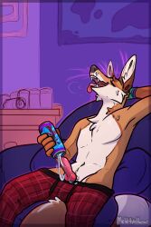 Booru post from rule34.xxx