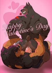 canid canine canis dobermann domestic_dog eyewear flower glasses holidays male male/male male_penetrating mammal mastiff molosser muscular muscular_male on_bottom on_top penetration pinscher plant rennin reverse_cowgirl_position romantic rose_(flower) rottweiler sex taoren valentine's_day