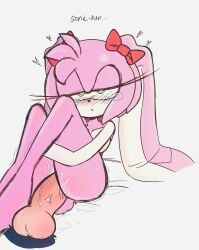 amy rose from sonic (series)