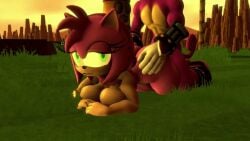 3d 3d_animation amy_rose anthro artist_request cuckold espio_the_chameleon furry sega sonic_(series) sonic_the_hedgehog_(series) sound tagme video