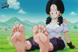 videl from dragon ball by taozaru