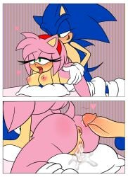 amy rose from sega by demichan