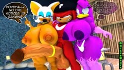 3d 3d_(artwork) absurd_res accessory anthro aroused_smile ass avian balls bat beanie big_balls big_breasts big_butt big_penis bird bracelet breasts choker claws clothed clothing cock_ring digital_media_(artwork) ear_piercing ear_ring echidna fangs female genitals gold_(metal) gold_bracelet gold_choker gold_jewelry gold_necklace group half-closed_eyes hat headgear headwear hi_res hirundinid hoop_ear_ring huge_balls huge_breasts huge_cock hyper hyper_genitalia hyper_penis imminent_sex jewelry knuckles_the_echidna lips male mammal monotreme narrowed_eyes necklace oscine passerine penis penis_accessory penis_awe penis_jewelry piercing poolside pubes punisher ring_piercing rocketspuff rouge_the_bat sega sex sonic_(series) sonic_riders sonic_the_hedgehog_(series) spa speech_bubble stealth_sex swallow_(bird) swimming_pool teeth thick_lips thick_thighs thong thought_bubble topless topless_female trio underwear wave_the_swallow wide_eyed