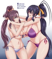 akeno himejima from high school dxd by hiep studio