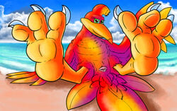 2020 3_toes 4_fingers animal_genitalia avian banjo-kazooie barefoot beach beak bird bird_feet bodily_fluids breegull claws cloaca cloaca_juice detailed_background eyelashes feathered_wings feathers feet female feral fingers fol foot_focus genital_fluids genitals green_eyes hi_res horizontal_cloaca kazooie lying nude on_back outside presenting presenting_cloaca rareware red_body red_feathers sand sea seaside smile solo talons toes video_games water wings yellow_body yellow_feathers