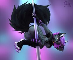 1girls anthro ass canid canine canis clothing cocoline cocoline_(artist) collar dancing female female_only fishnet fishnet_legwear genitals legwear mammal nipple_tape pasties pole pole_dancing pussy solo tape uncensored wolf