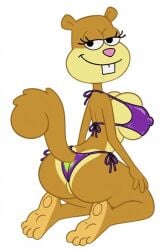Anthro Rule 34 Image