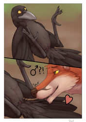 ! 2017 ? absurd_res ambiguous_gender animal_genitalia anthro anthro_on_feral avian beak bird border canid canine cloaca close-up comic corvid corvus_(genus) crow duo feral fox gender_symbol genitals heart hi_res legs_up lizardlars male male/ambiguous mammal oscine passerine presenting reclining sniffing sound_effects spread_legs spreading symbol white_border wide_eyed zoophilia ♂