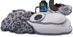 Bbw Rule 34 Image