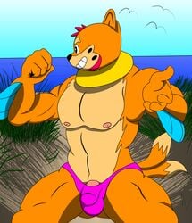 absurd_res anthro anthrofied bikini_thong biped buizel clothing daniel_z._davis digital_media_(artwork) edit eroborus fur furry furry_only genitals hair hi_res humanoid_genitalia humanoid_penis male male_only mammal muscular muscular_anthro muscular_male mustelid nintendo nipples outside pecs penis pokémon_(species) pokemon seaside smile solo swimwear tail thick_thighs toothy_grin video_games