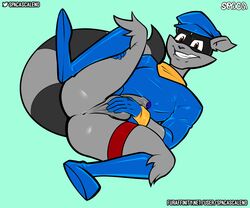 absurd_res anthro anus balls clothed clothing digital_media_(artwork) erection genitals hi_res legwear looking_at_viewer male male_only mammal penis procyonid raccoon rubber simple_background sly_cooper sly_cooper_(series) smiling_at_viewer smooth_fur solo solo_male sony_corporation sony_interactive_entertainment spaca sucker_punch_productions text video_games