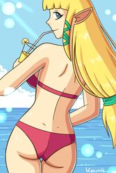 princess zelda from skyward sword by kaeveris