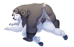 alternate_version_at_source anthro ass balls big_butt claws closed_eyes curvy_figure duo female female_penetrated genitals hi_res livii male male/female male_penetrating male_penetrating_female mammal nick_(riel) nnightbear_b on_top pawpads penetration penis polar_bear pussy sex simple_background slightly_chubby ursa_clara_(nnightbear_b) ursid ursine vaginal_penetration voluptuous white_background