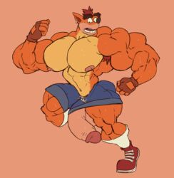 crash bandicoot from crash (series) by remert