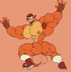 crash bandicoot from crash (series) by remert