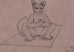 2021 anthro breasts crouching dreamworks felid female front_view full-length_portrait genitals hi_res kung_fu_panda mammal monochrome nipples nude pantherine portrait pussy sabrotiger sketch snow_leopard solo song_(kung_fu_panda) yoga