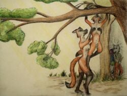 1boy 2girls animal_genitalia backpack blacktara breasts brother canid canine drawing female forest fox foxtail genitals male male/female mammal multiple_girls nature nude painting_(artwork) plant playing sheath sibling sister toy traditional_media_(artwork) tree wanderer watercolor_(artwork) wood