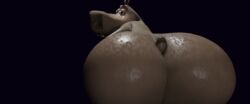 ass ass_focus big_ass blender buttjob dreamworks gloria_the_hippopotamus hippopotamus hot_dogging illis looking_at_viewer looking_back madagascar_(series) wet wet_body wet_skin