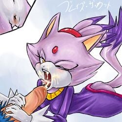 anthro blaze_the_cat blue_fur cat cum feline fellatio female fur furry hedgehog male mammal oral purplekecleon pussy sonic_(series) sonic_the_hedgehog straight