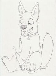 bolt_(character) bolt_(film) canine claws disney dog erection feral male male_only metalfox monochrome nude open_mouth penis sitting solo tail tongue wink