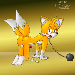 all_fours anthro ass balls blush canine chain cum fox fur hellfox male male_only mammal nude penis solo sonic_(series) sonic_the_hedgehog_(series) sonic_the_hedgehog_2 tagme tails