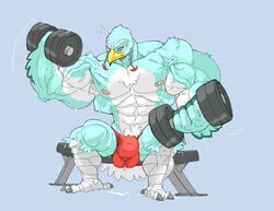 2017 3_toes anthro avian balls beak bench big_balls big_bulge big_penis blue_background bodily_fluids breath_of_the_wild bulge clothed clothing countershading cum dumbbell feet genital_fluids genitals huge_balls huge_bulge huge_cock huge_muscle hyper hyper_balls hyper_bulge hyper_genitalia hyper_penis lifting looking_at_viewer male muscular nintendo nipples penis pink_nipples rito simple_background sitting smile solo stagor55 the_legend_of_zelda toes underwear underwear_only veiny_muscle video_games weights white_body white_countershading