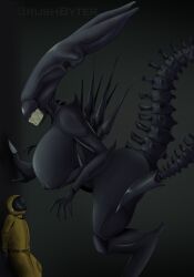 female xenomorph from alien (franchise) by brushbyter