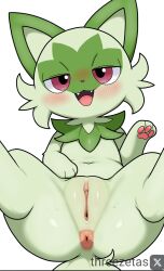 Pokemon (Species) Rule 34 Image