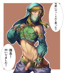 gerudo link from breath of the wild by sirotaikyou