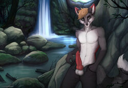 animal_genitalia animal_penis balls bottomwear cajren canid canine canine_penis claws clockhands clothing creek detailed_background digital_media_(artwork) forest fox genitals hi_res knot male mammal nature painting_(artwork) pants penis pinup plant pose rock solo striped_tail stripes traditional_media_(artwork) tree unzipped waterfall