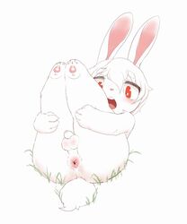 2021 3_toes 4_fingers anthro anus ass balls big_eyes blush eyebrow_through_hair eyebrows feet fingers flaccid foreskin fur furry furry_only genitals hair hair_between_eyes holding_legs humanoid_genitalia humanoid_penis lagomorph legs_up leporid long_ears long_hair looking_at_viewer lying male male_only mammal naked nude on_back open_mouth pawpads paws penis pink_anus pink_nose pink_pawpads presenting presenting_hindquarters rabbit red_eyes sake_kemosalmon solo tail teeth toes translucent translucent_hair uncut white_body white_fur white_hair