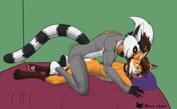 amara_lemur anal anthro canid canine conditional_dnp duo fox hi_res lemur male male/male male_penetrated male_penetrating male_penetrating_male mammal nude penetration primate ramaelfox sex strepsirrhine