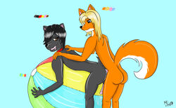 absurd_res all_fours anthro ball beach_ball bodily_fluids canid canine canis collar doggy_style domestic_dog duo fox from_behind_position hi_res inflatable male male/male mammal maxwell_longtail sex sweat