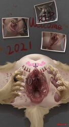 abortion_mark absurd_res anthro anus blood bodily_fluids cum cum_inside death felid female gaping gaping_anus gaping_pussy genital_fluids genital_piercing genitals gore grotesque_death hi_res mammal markings nekoforest pawpads paws piercing pussy solo tattoo text turbo_hole