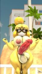 1futa beach beach_background canine dog_futa dog_girl furry furry_female furry_only futanari futanari futanari_dog futanari_only isabelle_(animal_crossing) lolmcfallout loop looping_animation nintendo nude nude_futa showing_off showing_penis swinging swinging_balls swinging_penis tagme video