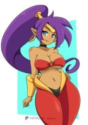 big_ass big_breasts big_butt big_thighs big_titties brown_hair brown_skin clothing curvaceous curvaceous_female curvaceous_figure curvy curvy_figure curvy_hips female female_focus female_only long_hair looking_at_viewer momocka_art purple_hair shantae shantae_(character)