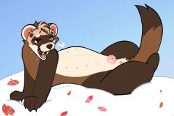 absurd_res anatomically_correct_vulva anus domestic_ferret female feral hi_res mammal mustelid musteline petals rose_petals solo spacks thespackster true_musteline weasel