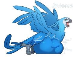 avian beak belly belly_expansion bird blue_body blue_sky_studios expansion female feral hi_res jewel_(rio) open_mouth parrot paws plateous predator/prey rio_(series) solo stomach_bulge tongue vore wings