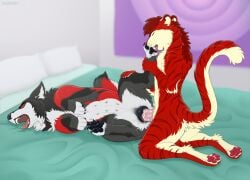 angel_(velvetvlade) animal_genitalia animal_vulva anthro anthro_on_feral anthro_penetrating anthro_penetrating_feral bodily_fluids canid canine canine_genitalia canine_vulva canis closed_eyes digitoxici drooling duo fangs feet felid female female_feral female_on_anthro female_penetrated feral feral_penetrated foot_fetish foot_lick foot_play fur genitals grey_body grey_fur hi_res licking male male/female male_anthro male_on_feral male_penetrating male_penetrating_female male_penetrating_feral mammal multi_nipple nipples open_mouth penetration prehistoric_species red_body red_fur saber-toothed_tiger saliva sex striped_body striped_fur stripes teeth tongue tongue_out wolf zoophilia