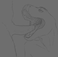 animated anthro artist_request dinosaur fellatio genitals good-boi-sergal hi_res lizard male male/male monochrome open_mouth oral penile penis penis_on_tongue prehistoric_species reptile scalie sex teasing