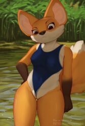 anthro biped breasts brown_body brown_eyes canid canine clothing detailed_background eyebrows female fingers fox frown fur genitals lucy_(sniffsnorf) mammal multicolored_body multicolored_fur multicolored_tail nipple_outline one-piece_swimsuit orange_body orange_fur orange_tail partially_submerged sniffsnorf solo swimwear tail vulva white_body white_fur white_tail