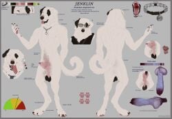 abs animal_genitalia animal_penis anthro anus balls black_balls black_claws black_nose bull_terrier canid canine canine_genitalia canine_penis canis choke_collar claws collar collar_tag curled_tail digitigrade domestic_dog eyewear fur genitals glasses hi_res hunting_dog jenklin_(character) jenklinbullterrier_(artist) kangal knot label livestock_guardian_dog male mammal markings mixed_breed model_sheet molosser mountain_dog nipples nude nude_anthro nude_male pastoral_dog penis penis_tip saggy_balls sheath simple_background solo spots spotted_body spotted_fur standing tail terrier text tongue tongue_out vein veiny_knot veiny_penis white_body white_fur